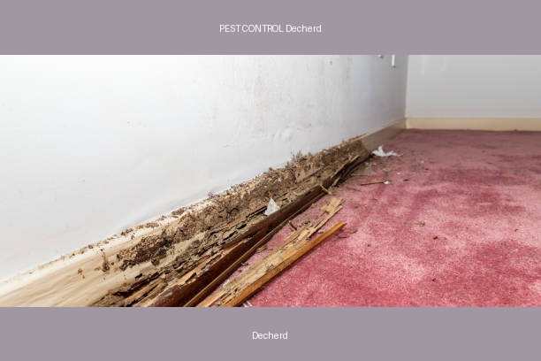 PEST CONTROL Decherd